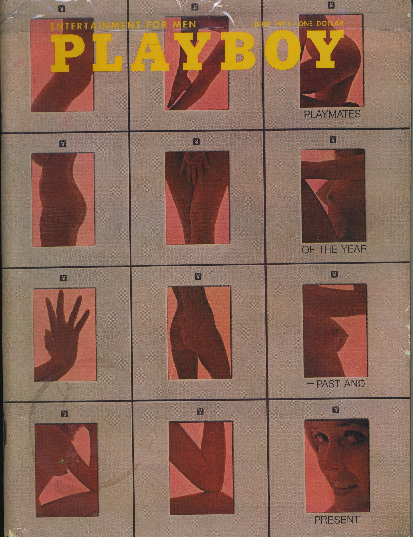 Playboy June 1971 Playmate of the Year Past and Present