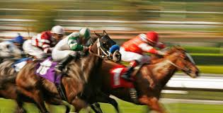 Horse Racing Memorabilia Collection