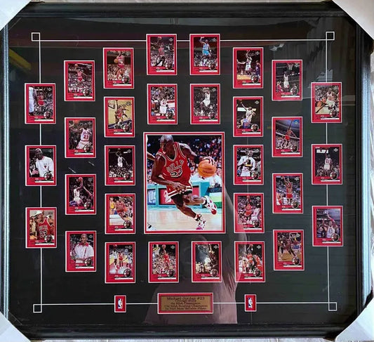 Michael Jordan Framed Art Piece